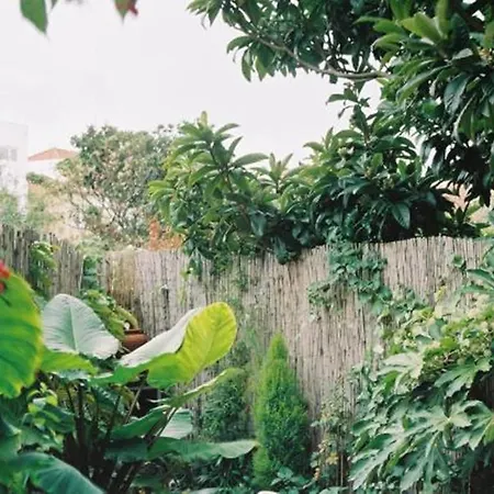 With Private Garden Apartment *